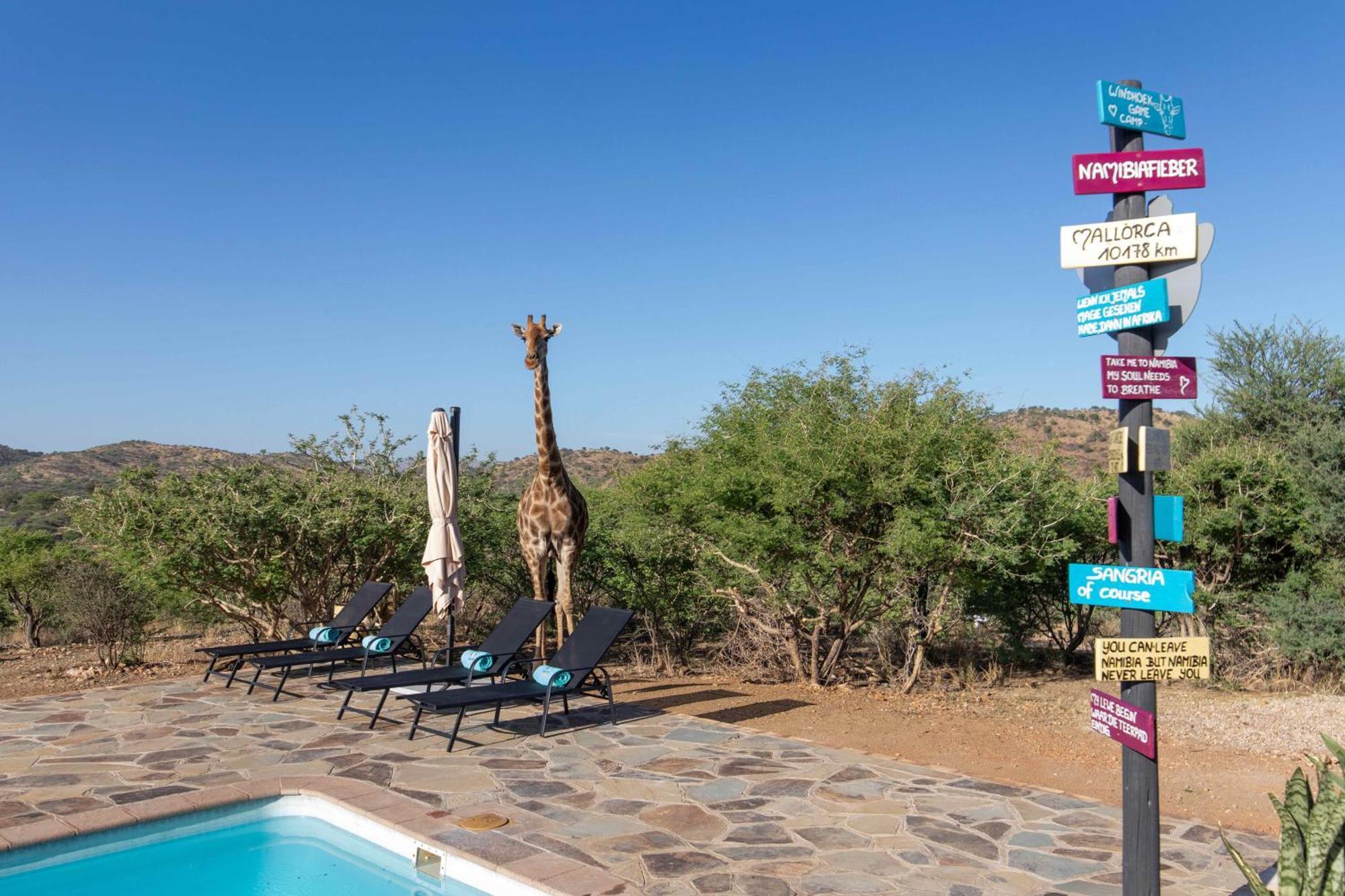 Windhoek Game Camp Lafrenz Township Exterior photo
