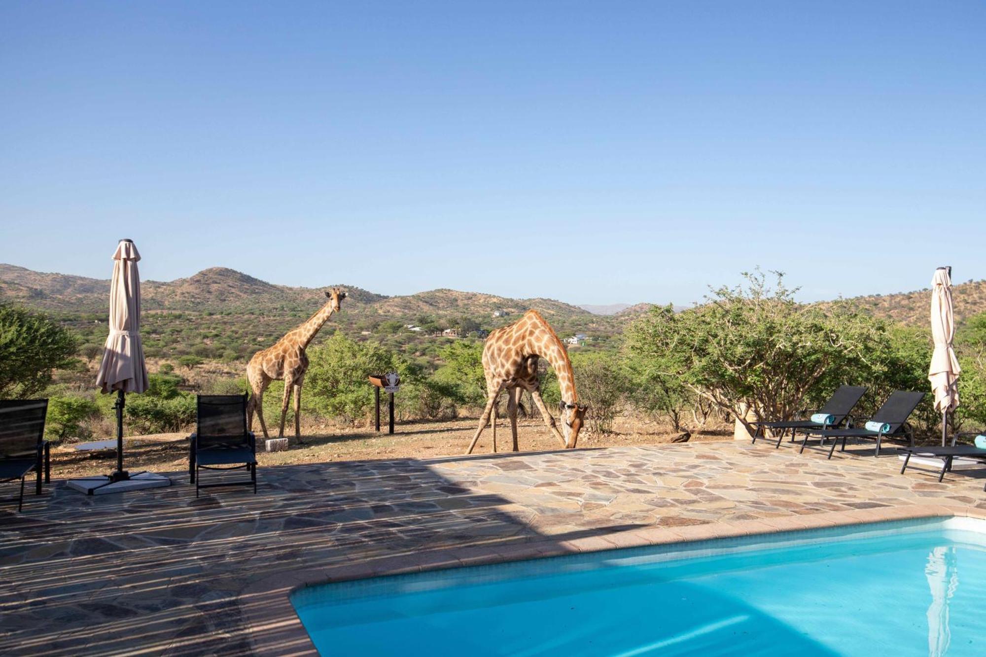 Windhoek Game Camp Lafrenz Township Exterior photo