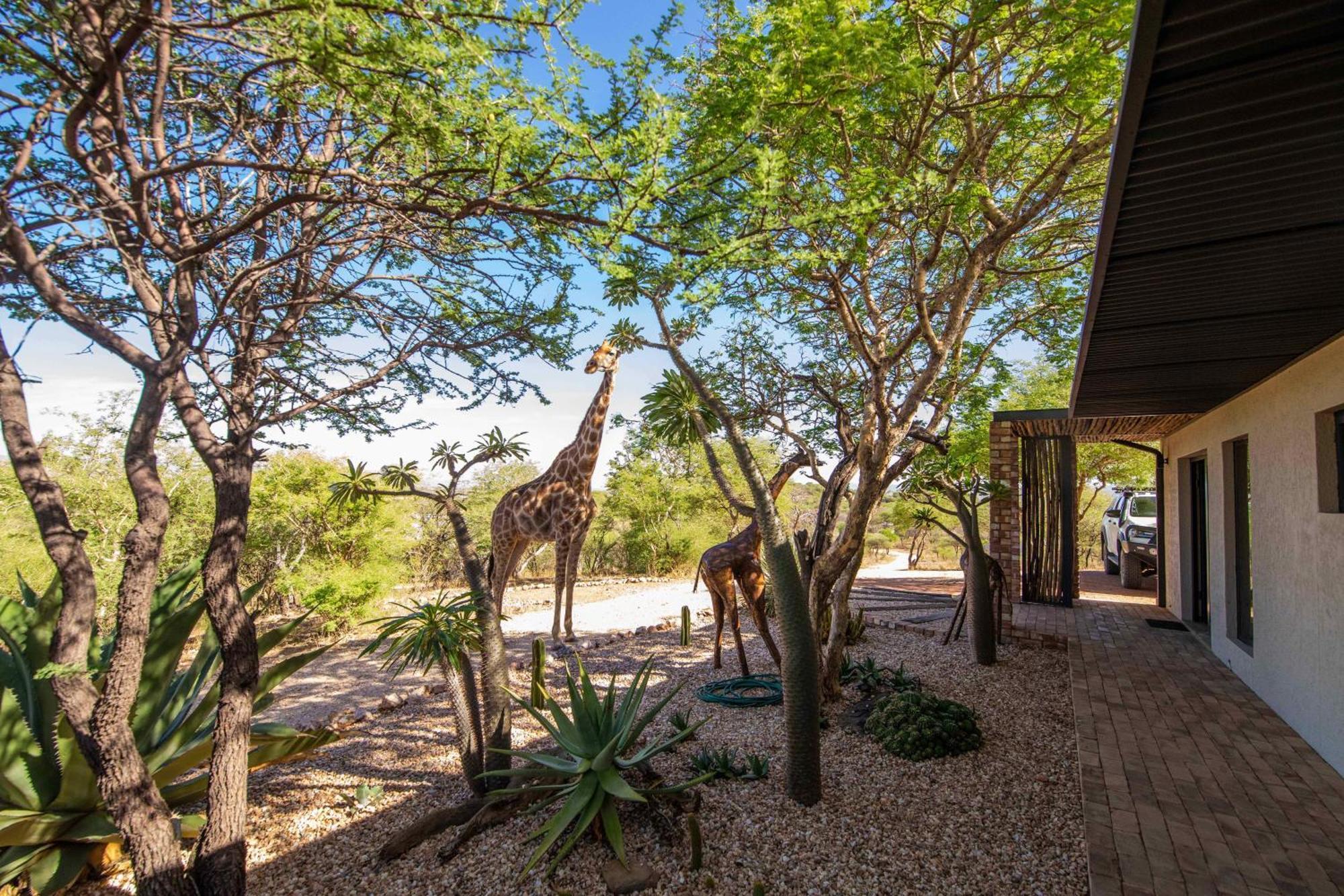 Windhoek Game Camp Lafrenz Township Exterior photo