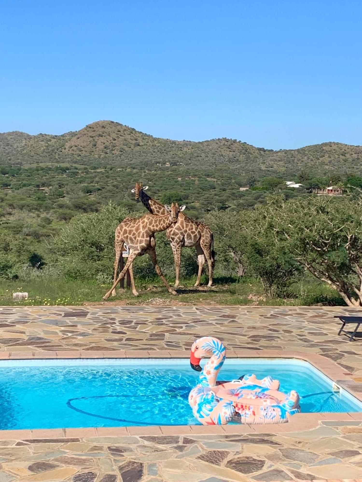 Windhoek Game Camp Villa Lafrenz Township Exterior photo