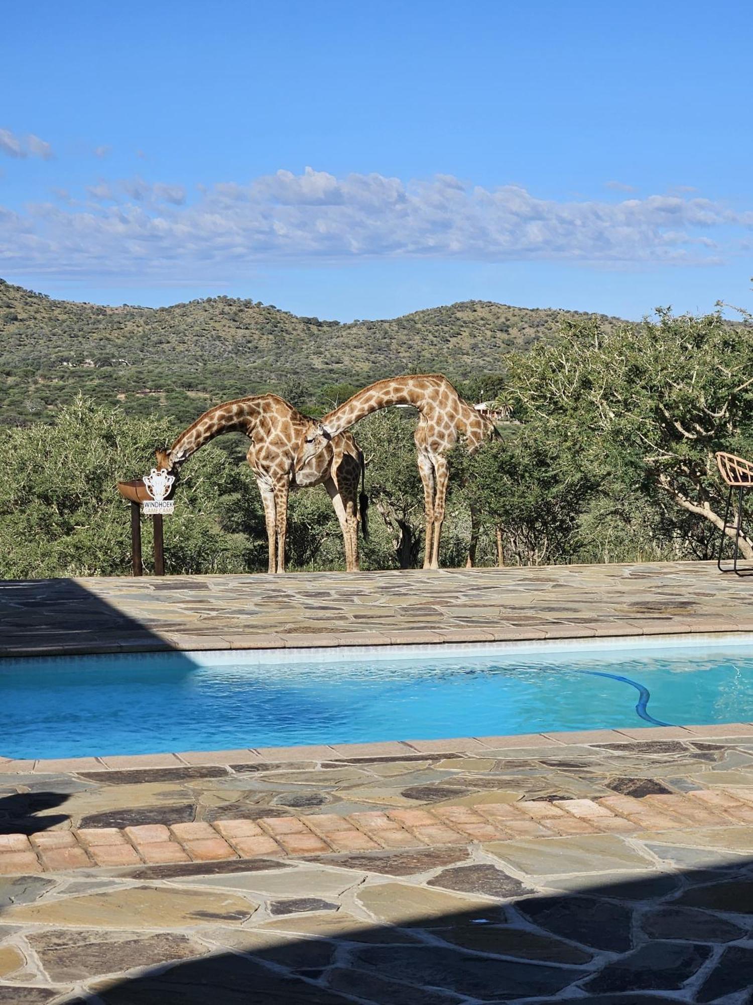 Windhoek Game Camp Villa Lafrenz Township Exterior photo