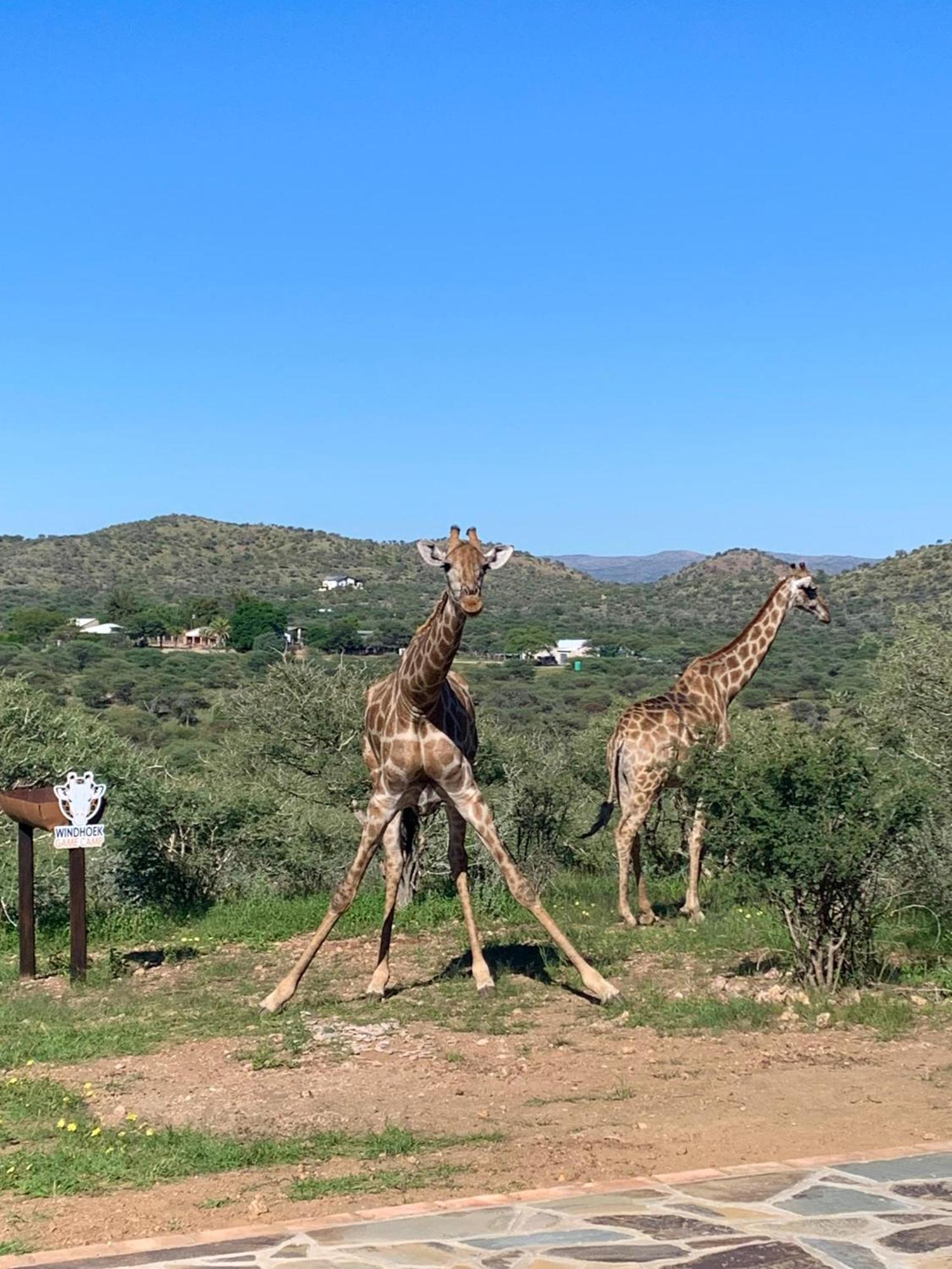 Windhoek Game Camp Lafrenz Township Exterior photo